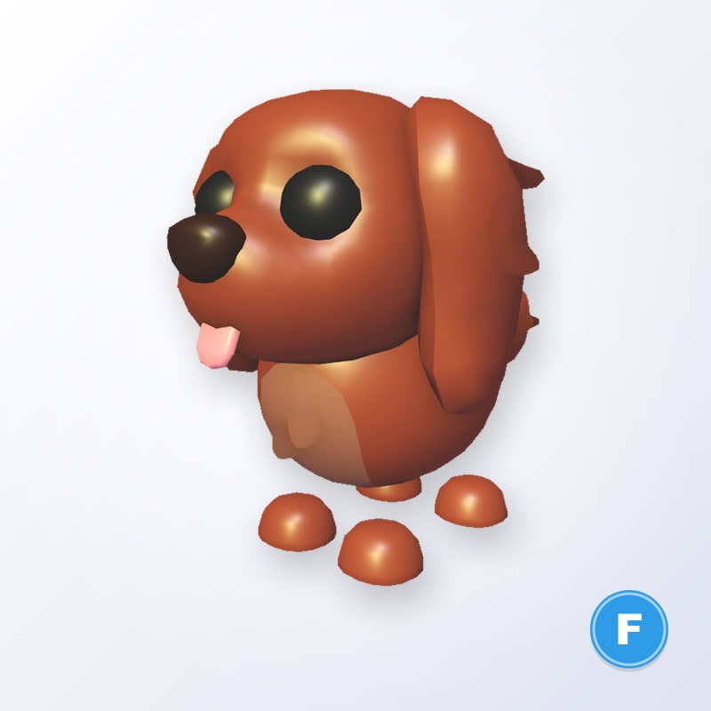 Irish Setter F | Adopt Me