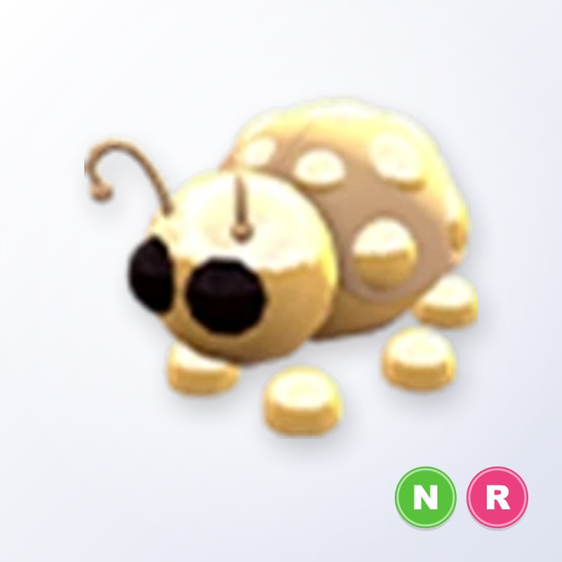 Golden Ladybug NR | Adopt Me