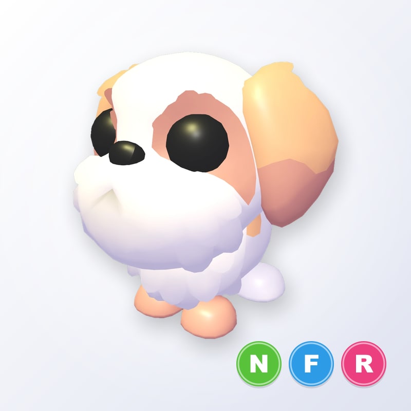 Shih Tzu NFR | Adopt Me