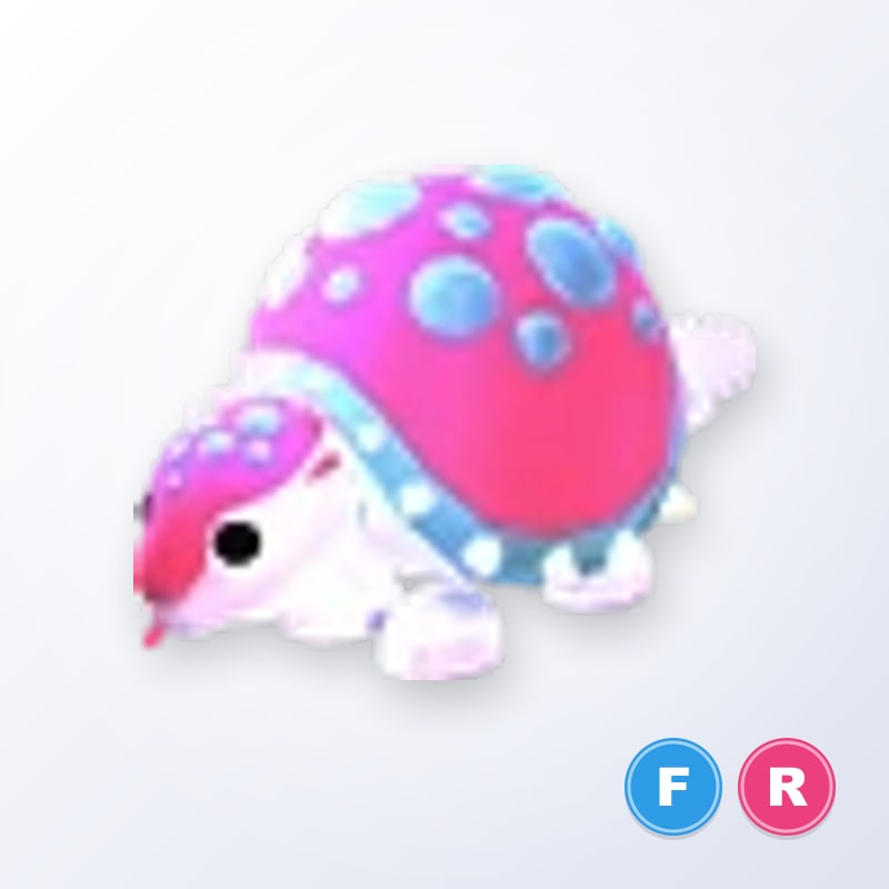 Glyptodon FR | Adopt Me
