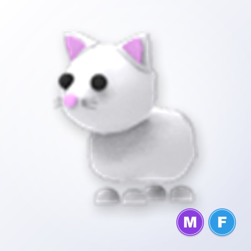 Snow Cat MF | Adopt Me