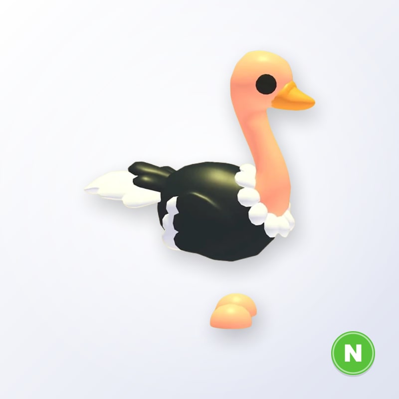 Ostrich N | Adopt Me