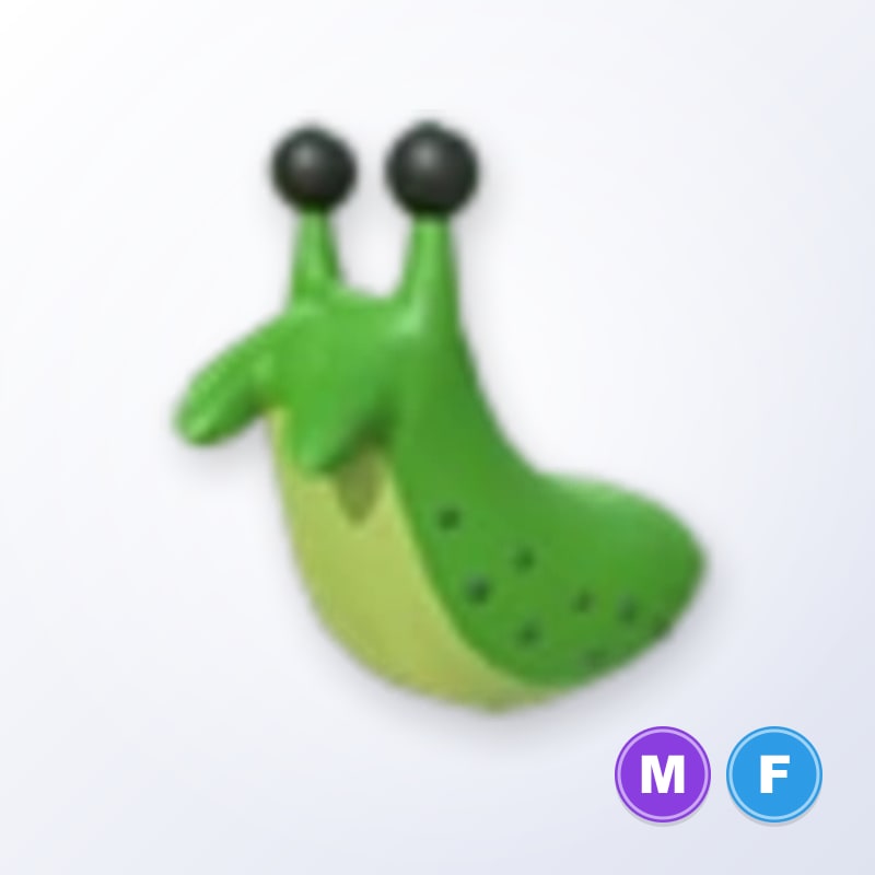 Slug MF | Adopt Me