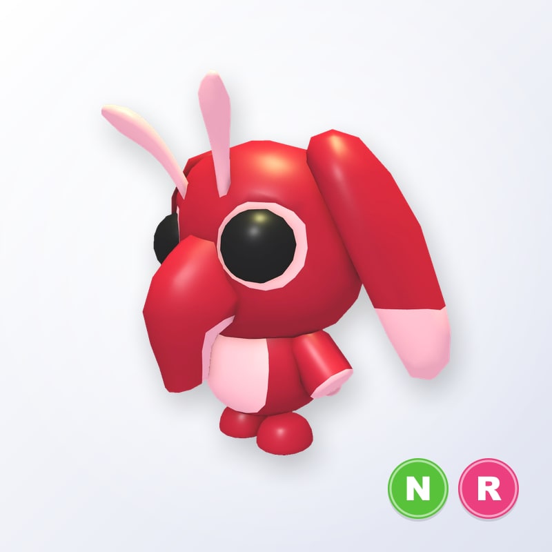 Snorgle NR | Adopt Me