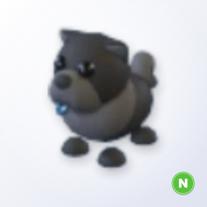 Black Chow-Chow N | Adopt Me