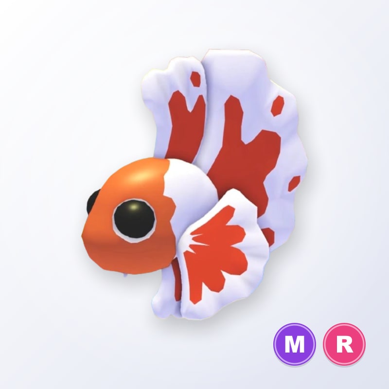 Orange Betta Fish MR | Adopt Me