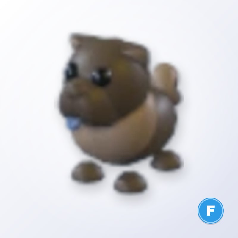 Chocolate Chow-Chow F | Adopt Me