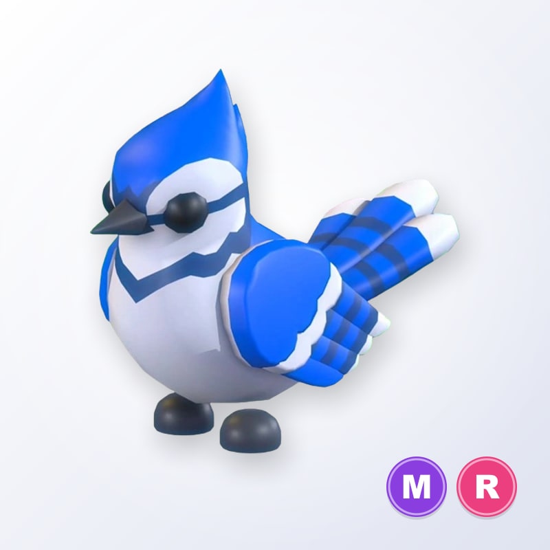 Blue Jay MR | Adopt Me