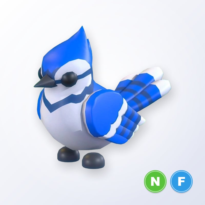 Blue Jay NF | Adopt Me