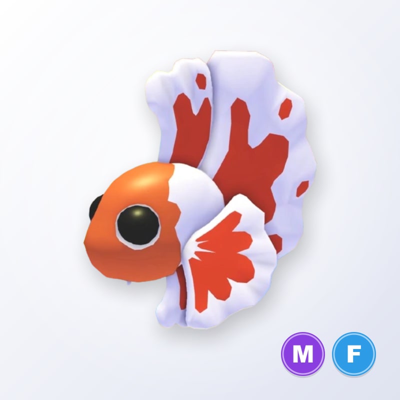 Orange Betta Fish MF | Adopt Me