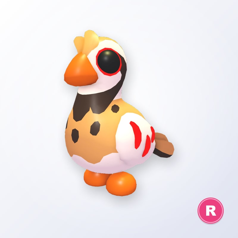 Partridge R | Adopt Me