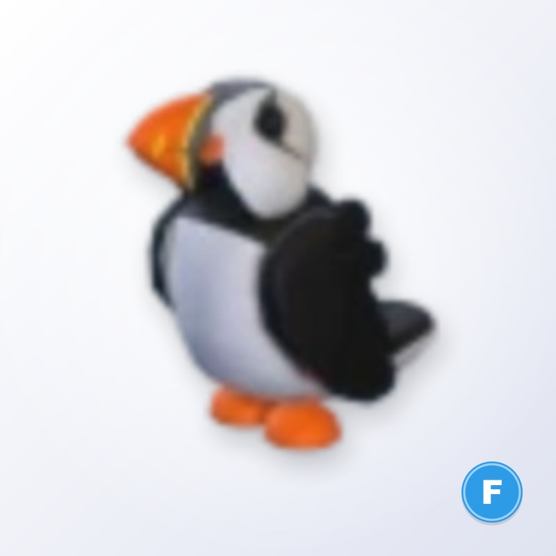 Puffin F | Adopt Me
