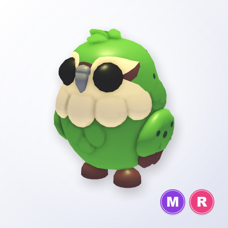 Kakapo MR | Adopt Me