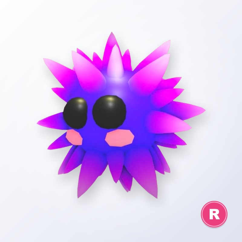 Urchin R | Adopt Me