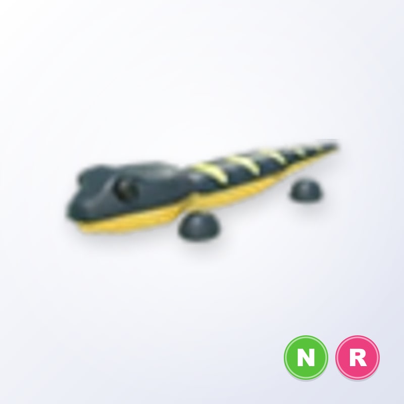 Salamander NR | Adopt Me