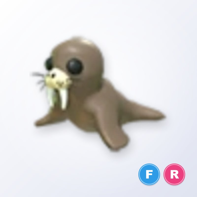 Walrus FR | Adopt Me