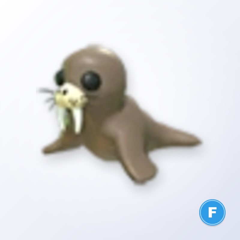 Walrus F | Adopt Me
