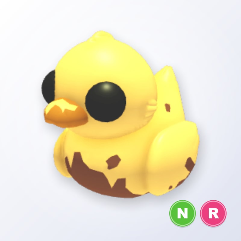 Dirty Ducky NR | Adopt Me