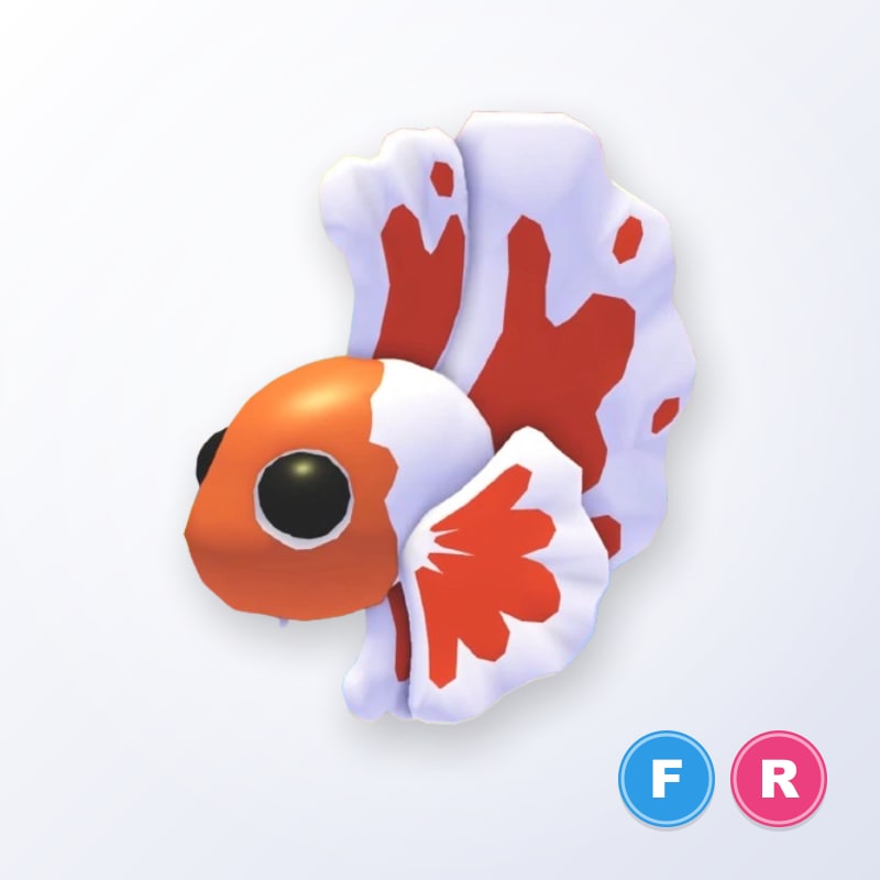 Orange Betta Fish FR | Adopt Me