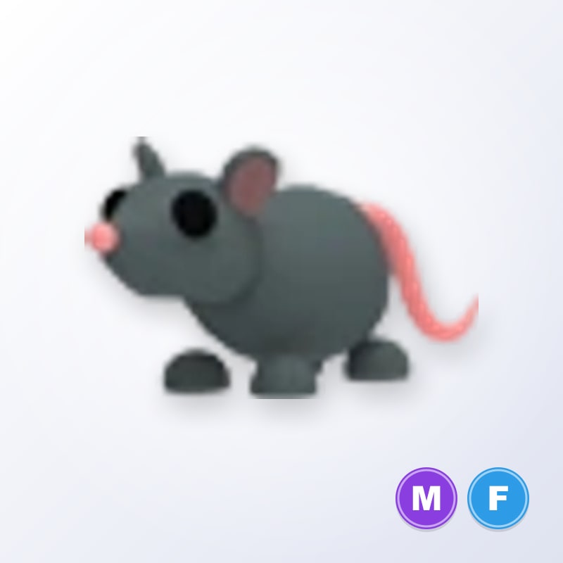 Rat MF | Adopt Me