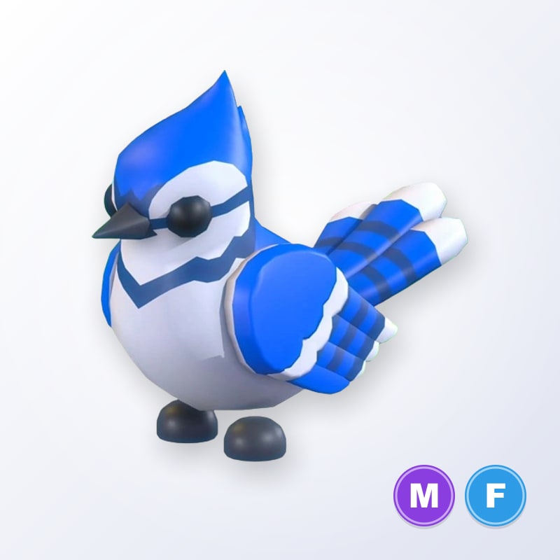 Blue Jay MF | Adopt Me