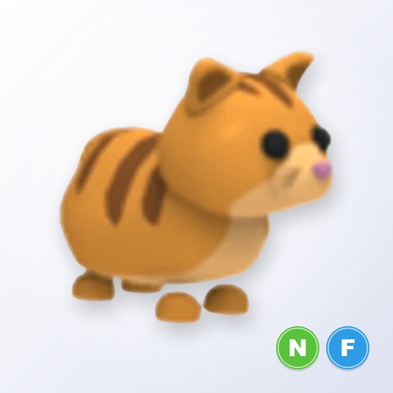 Ginger Cat NF | Adopt Me