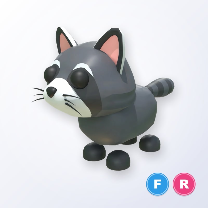 Raccoon FR | Adopt Me