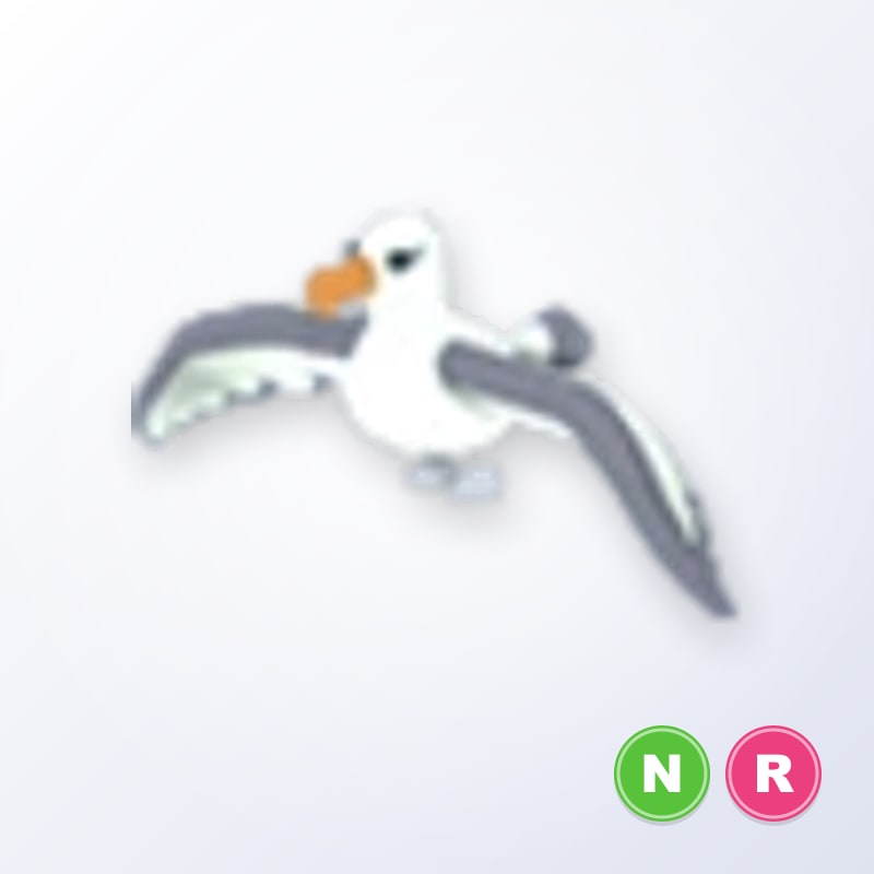 Albatross NR | Adopt Me