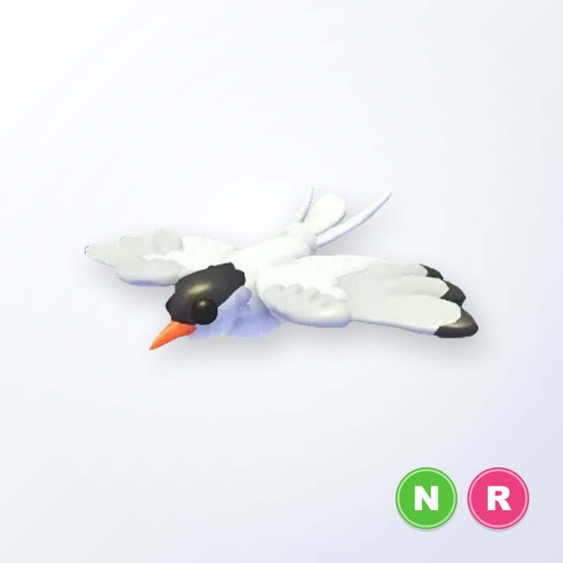Arctic Tern NR | Adopt Me