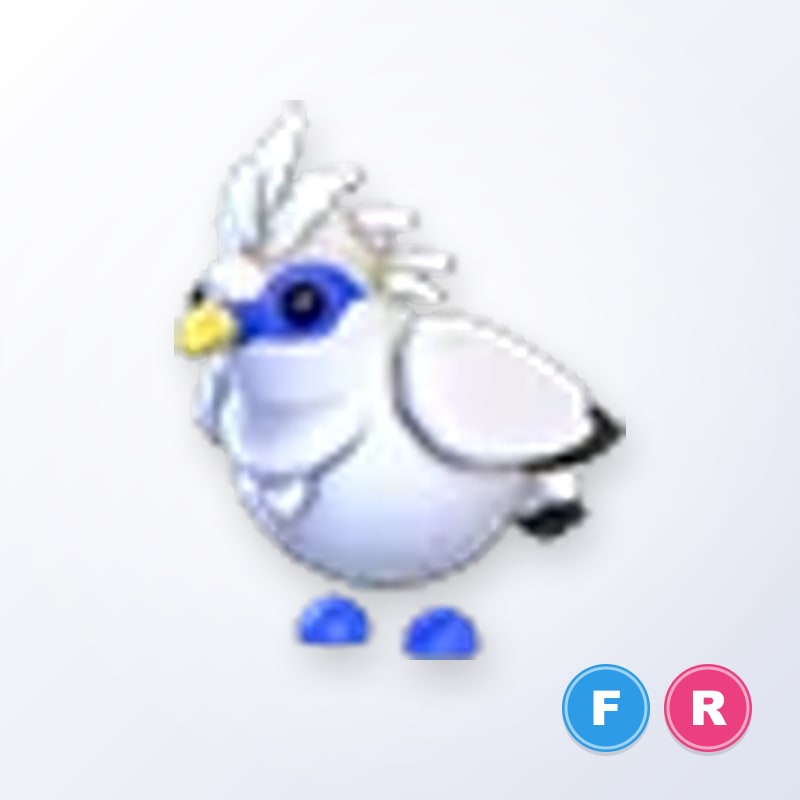Bali Starling FR | Adopt Me