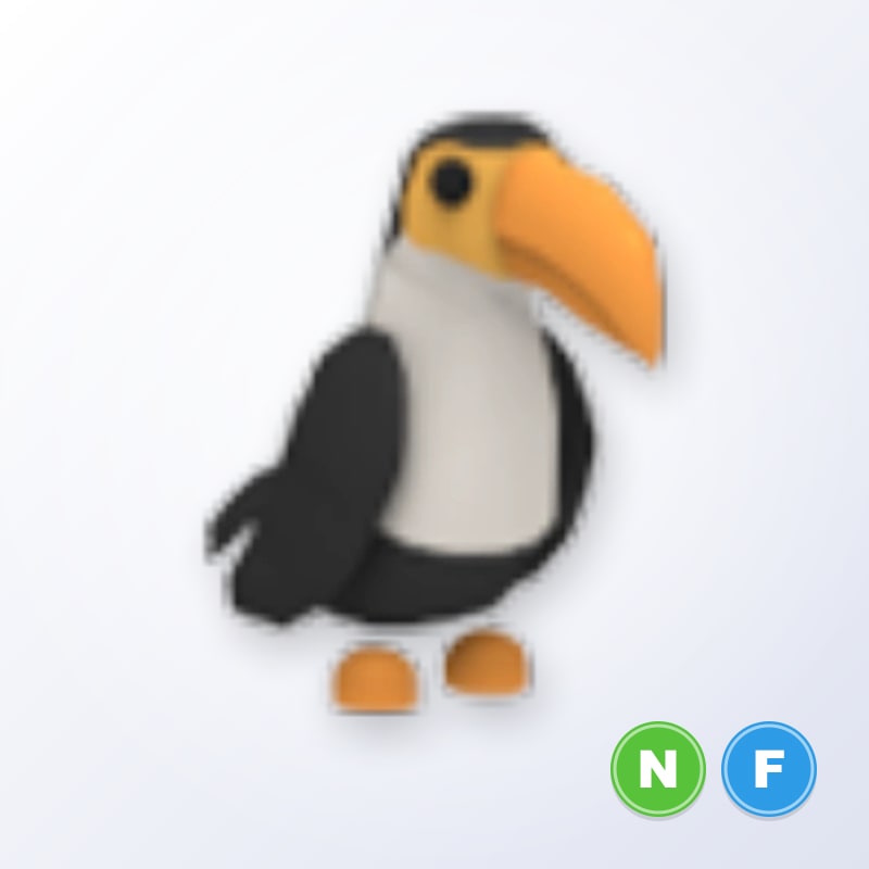 Toucan NF | Adopt Me