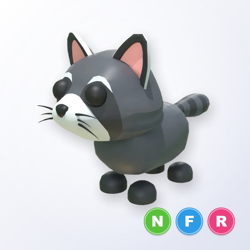 Raccoon NFR | Adopt Me