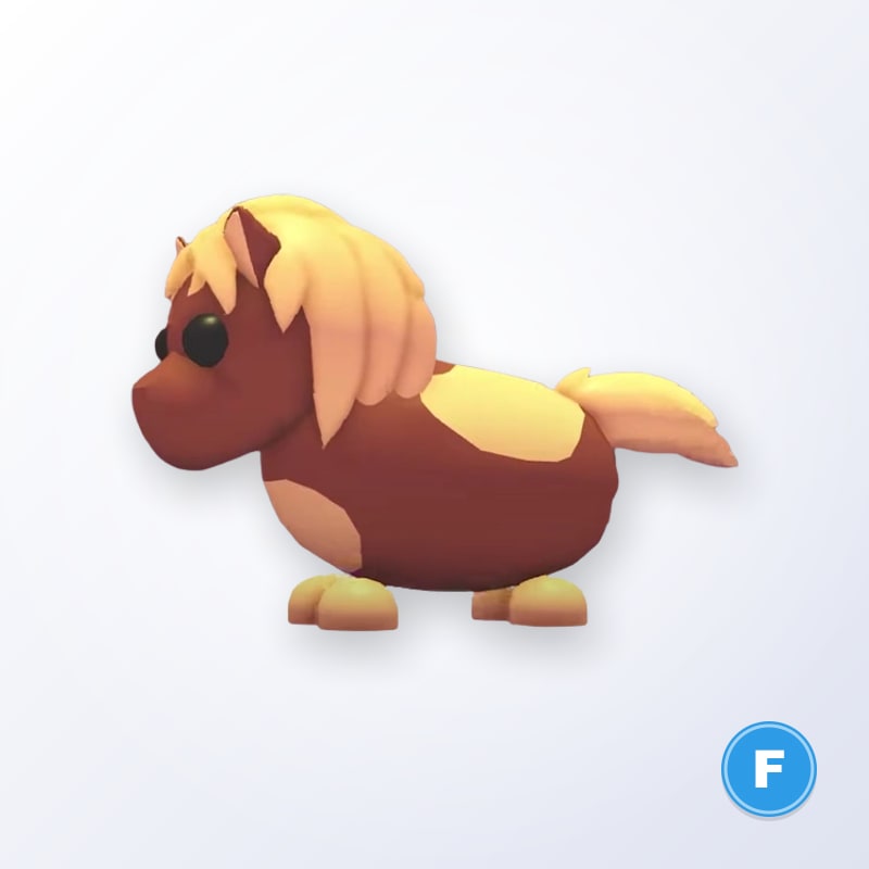 Shetland Pony Dark Brown F | Adopt Me