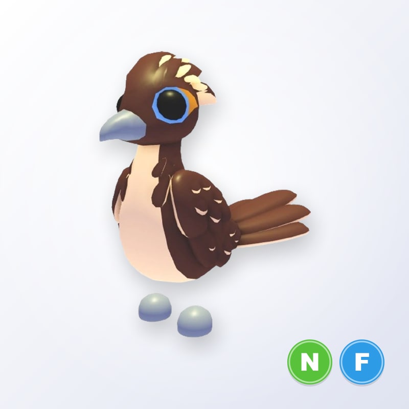 Roadrunner NF | Adopt Me