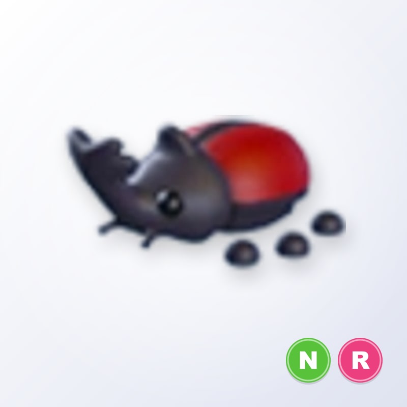 Rhino Beetle NR | Adopt Me