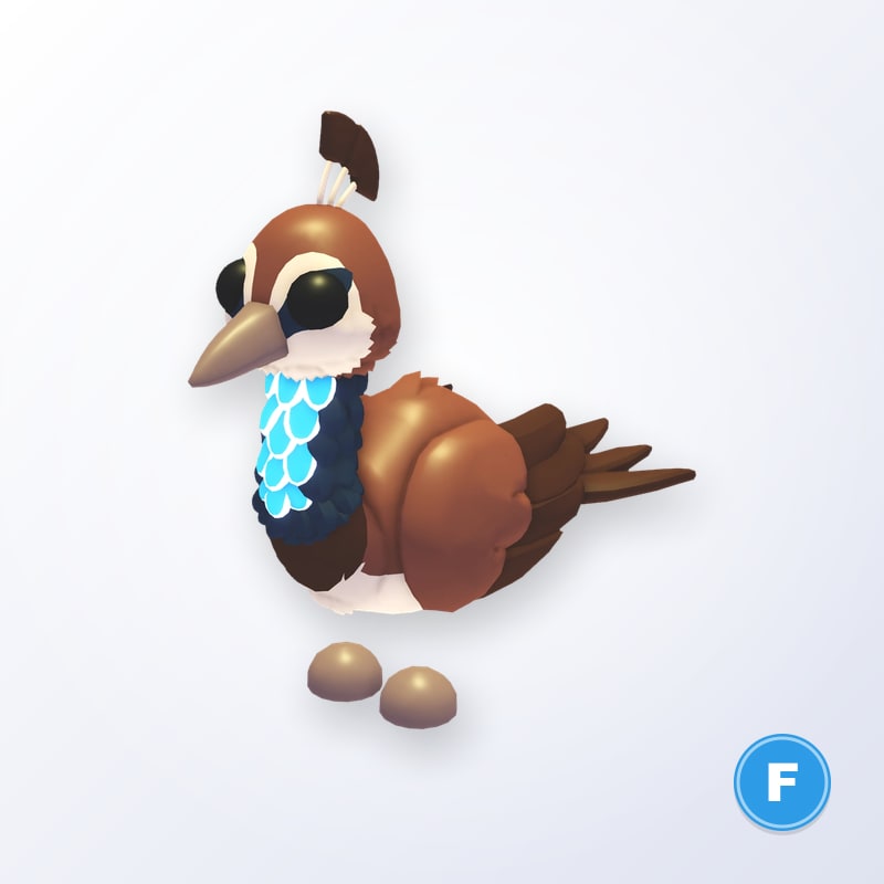 Peahen F | Adopt Me