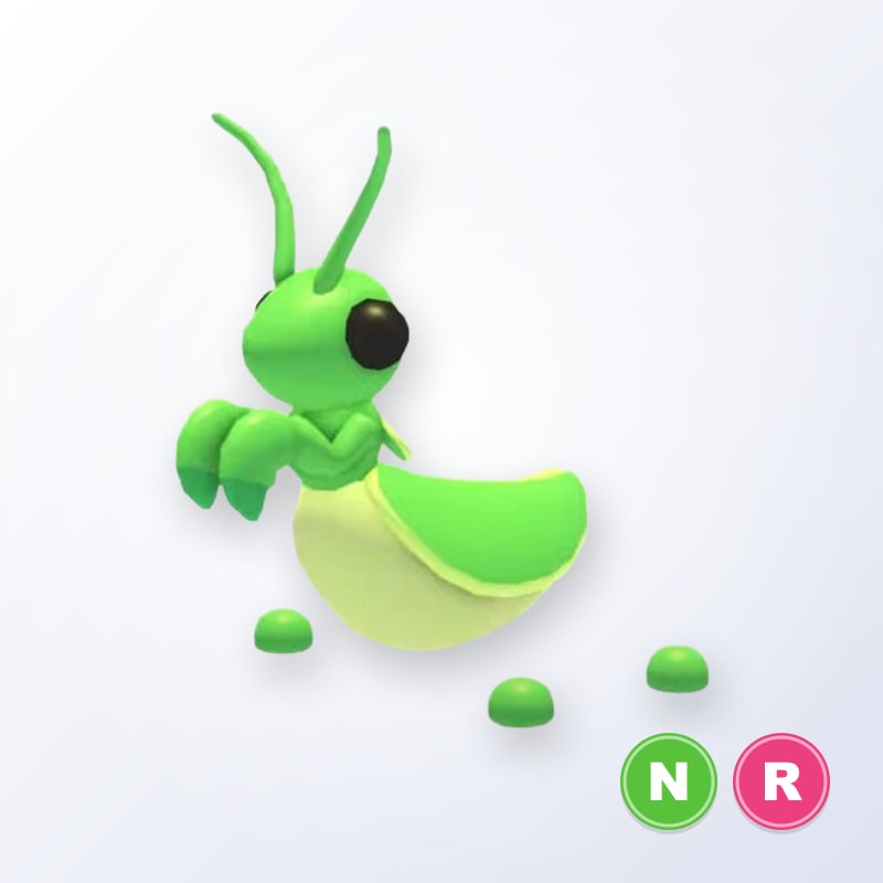 Praying Mantis NR | Adopt Me