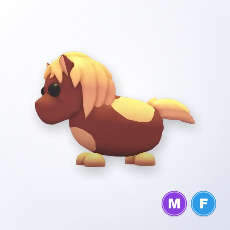 Shetland Pony Dark Brown MF | Adopt Me