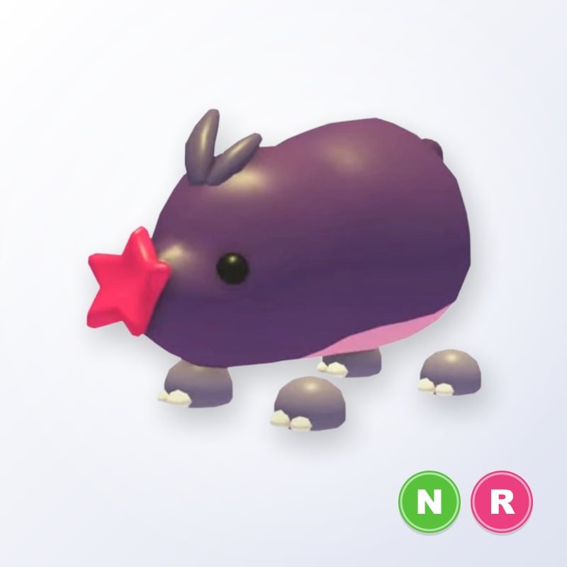 Mole NR | Adopt Me
