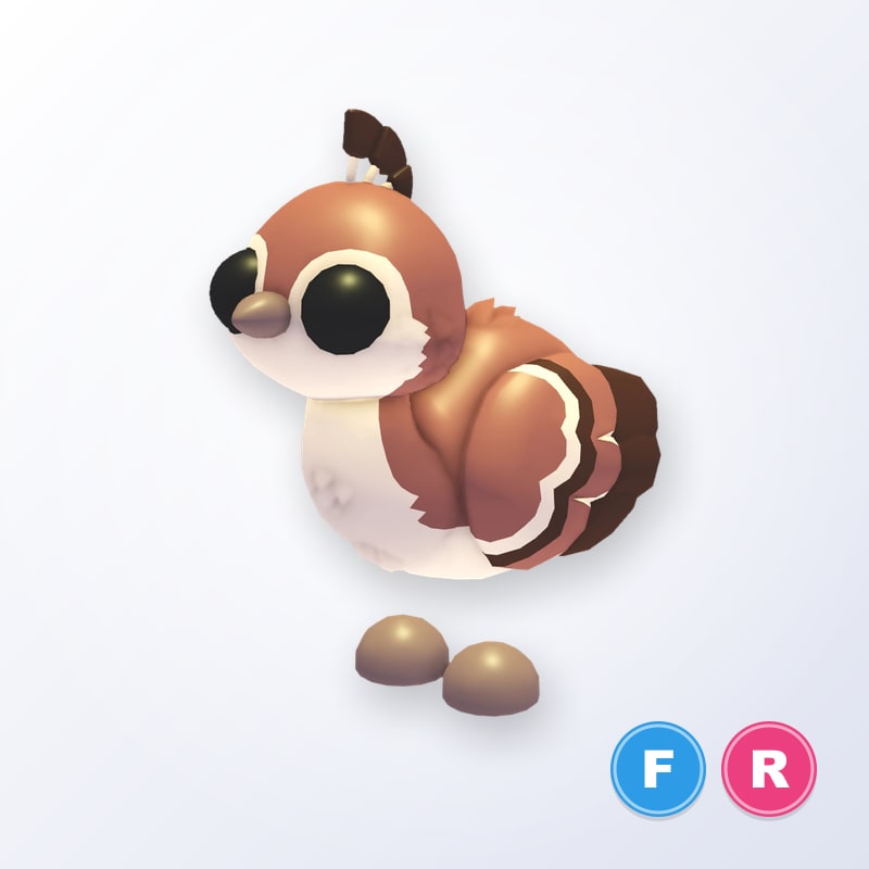 Peachick FR | Adopt Me