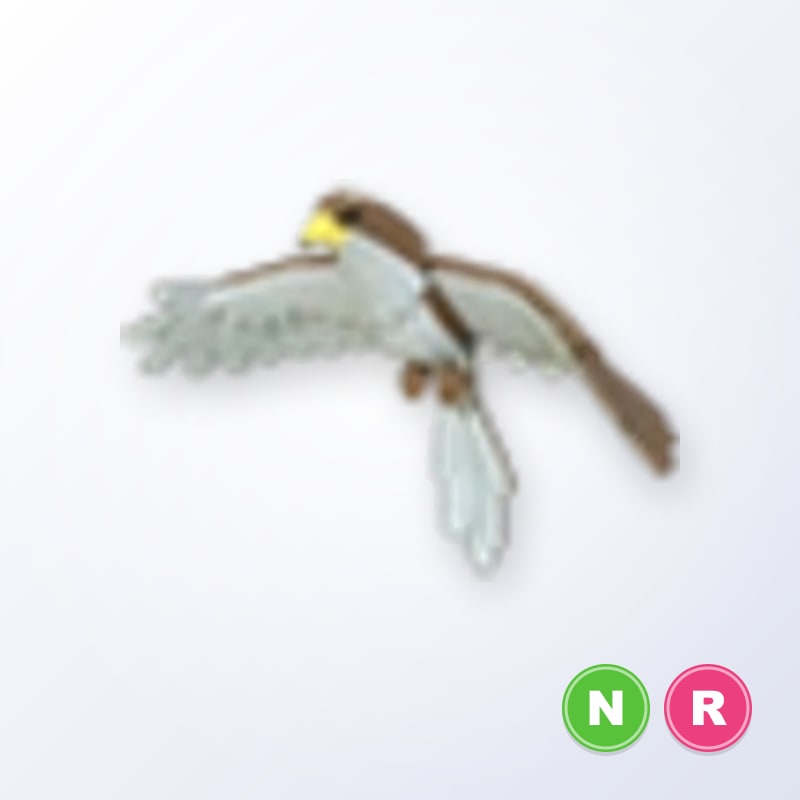 Hawk NR | Adopt Me