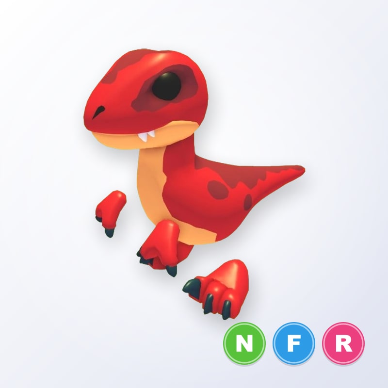 Velociraptor NFR | Adopt Me