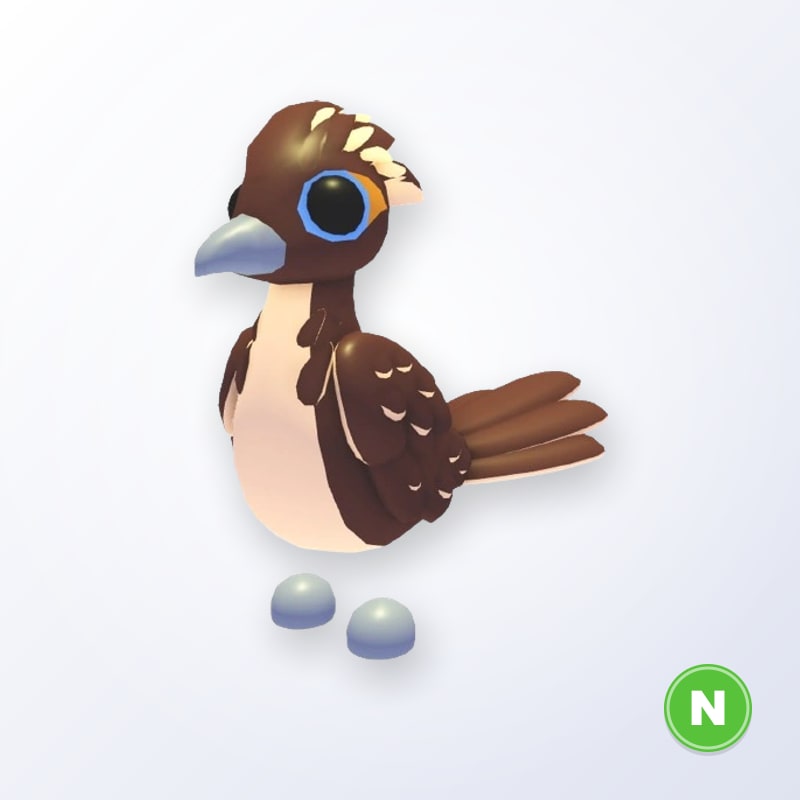 Roadrunner N | Adopt Me