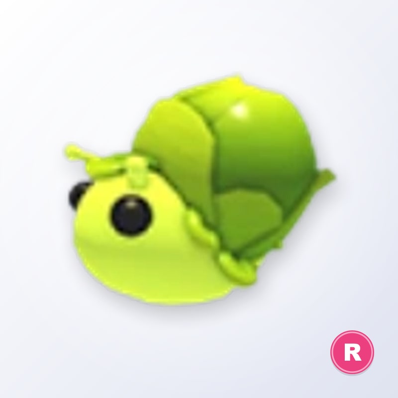 Sprout Snail R | Adopt Me