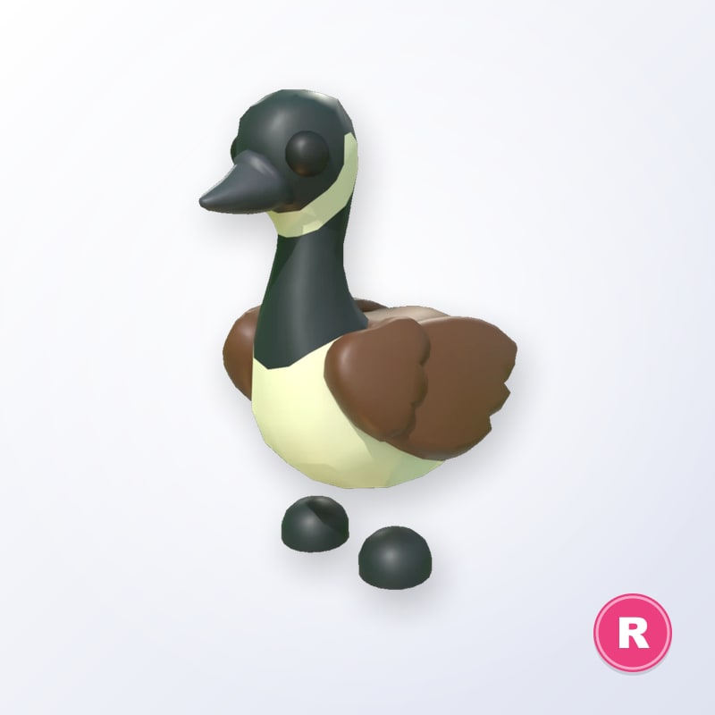 Canadian Goose R | Adopt Me