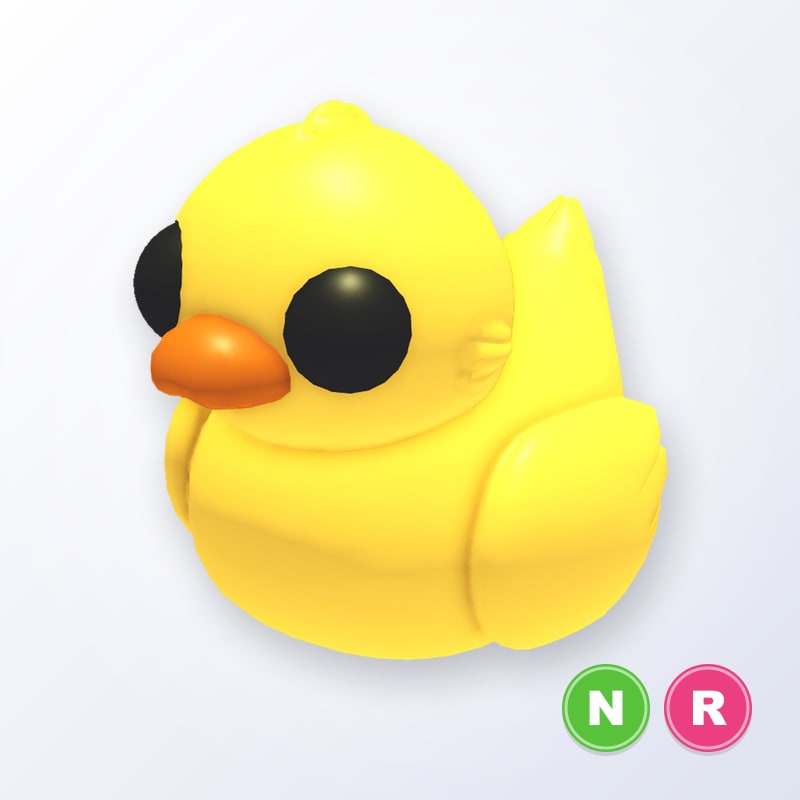 Rubber Ducky NR | Adopt Me