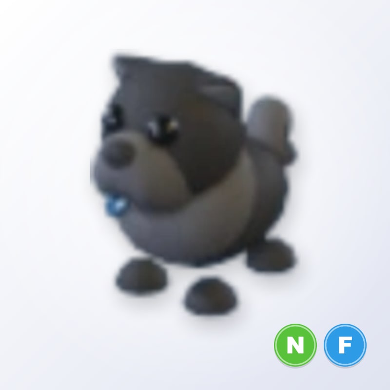 Black Chow-Chow NF | Adopt Me
