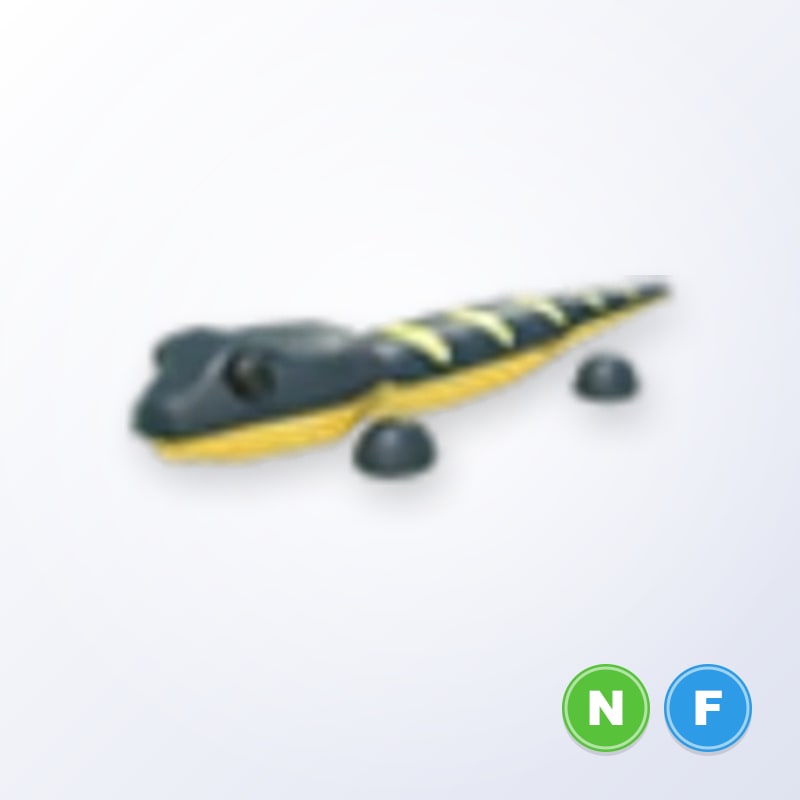 Salamander NF | Adopt Me