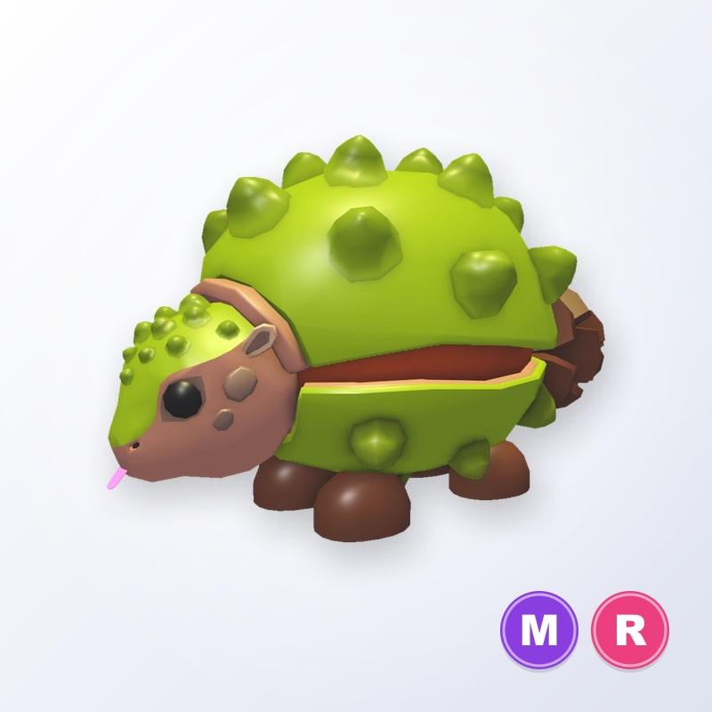 Chestnut Glyptodon MR | Adopt Me