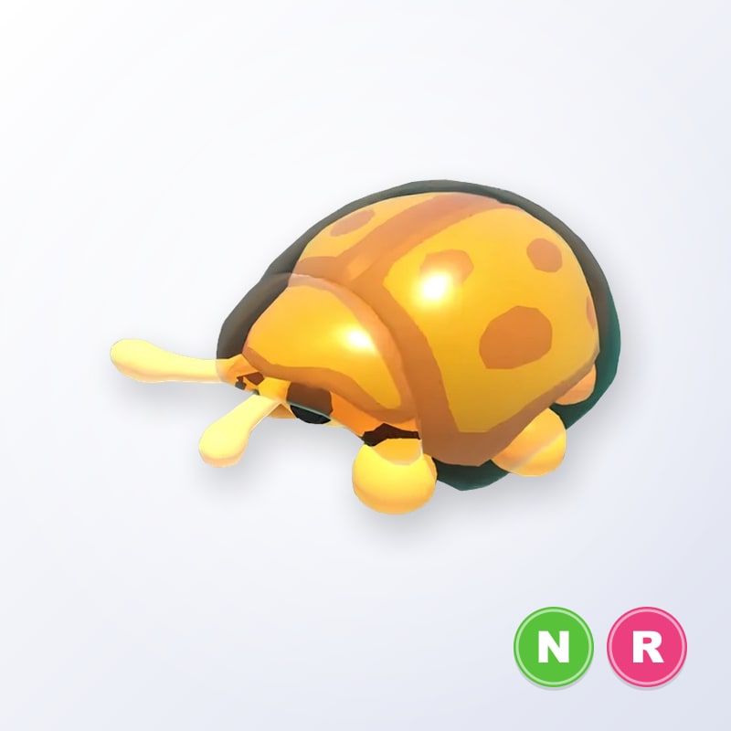 Golden Tortoise Beetle NR | Adopt Me